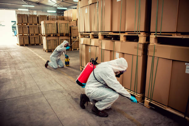 Best Local Pest Control Services  in South Pasadena, CA