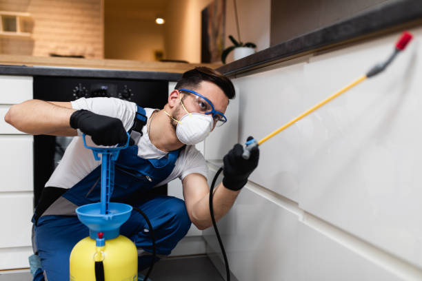 Best Pest Prevention Services  in South Pasadena, CA