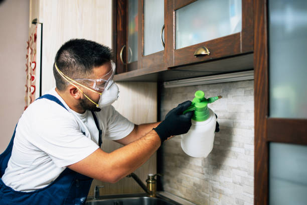 Best Affordable Pest Control Services  in South Pasadena, CA