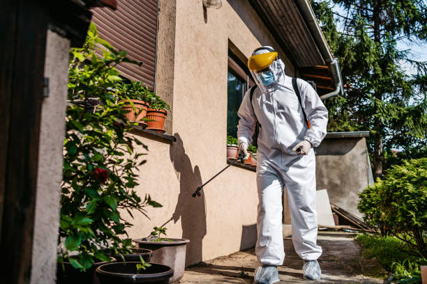 South Pasadena, CA Pest Control Company