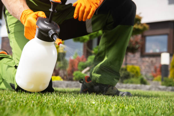 Best Emergency Pest Control  in South Pasadena, CA