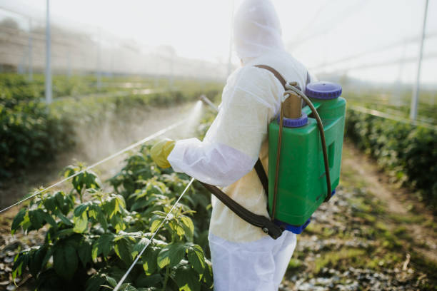 Best Cockroach Control Services  in South Pasadena, CA